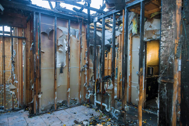 Professional Fire Damage Assessment technician working in Westville, IN
